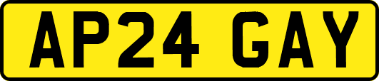AP24GAY