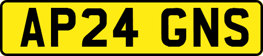 AP24GNS