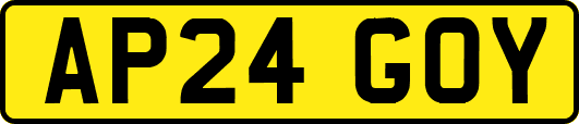 AP24GOY
