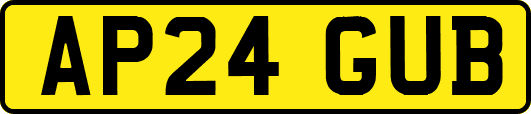 AP24GUB