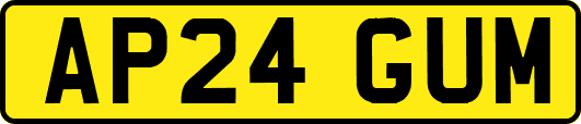 AP24GUM