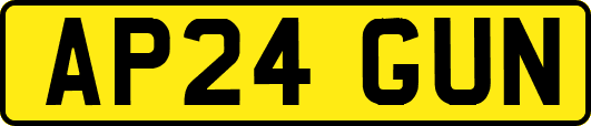 AP24GUN