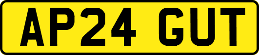 AP24GUT