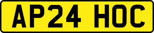 AP24HOC