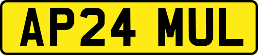 AP24MUL