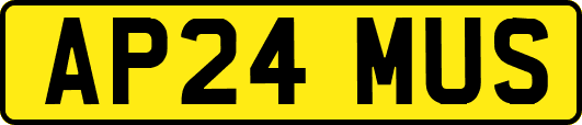 AP24MUS