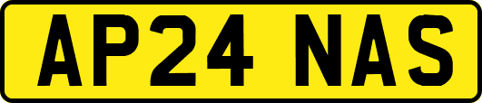 AP24NAS