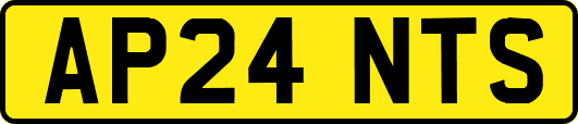 AP24NTS