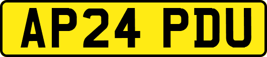 AP24PDU