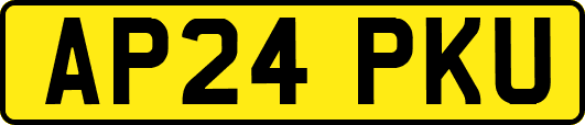 AP24PKU