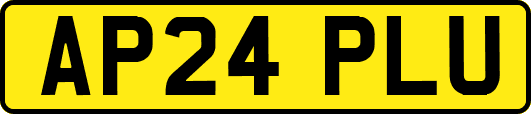 AP24PLU