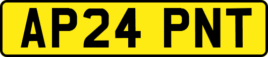 AP24PNT