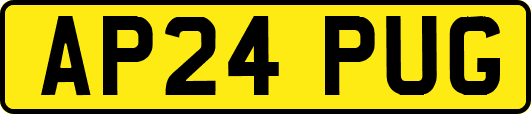 AP24PUG