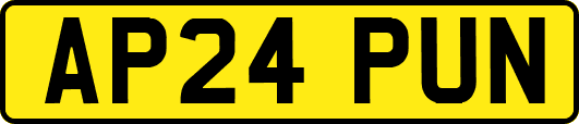 AP24PUN