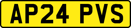 AP24PVS