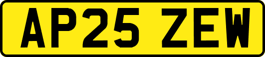 AP25ZEW