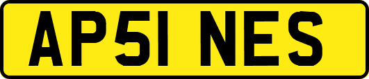 AP51NES