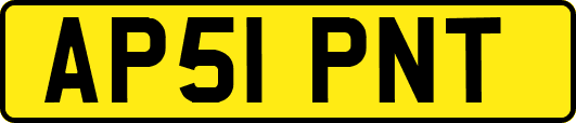 AP51PNT