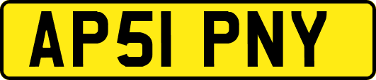 AP51PNY