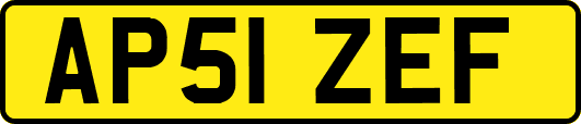 AP51ZEF