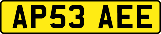 AP53AEE