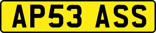 AP53ASS