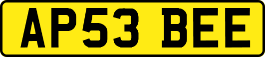 AP53BEE