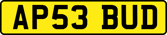 AP53BUD