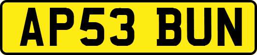 AP53BUN