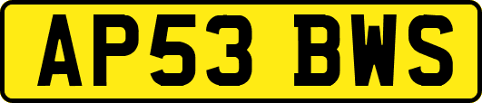 AP53BWS