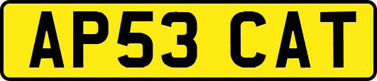 AP53CAT