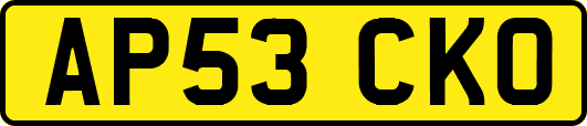 AP53CKO
