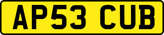 AP53CUB