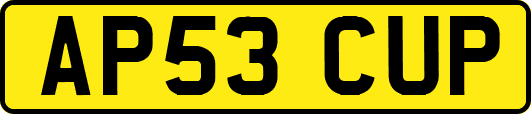 AP53CUP