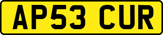 AP53CUR