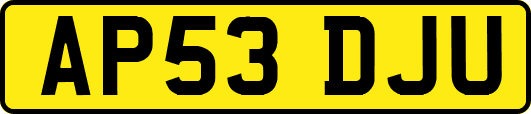 AP53DJU