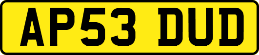 AP53DUD