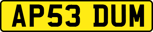 AP53DUM