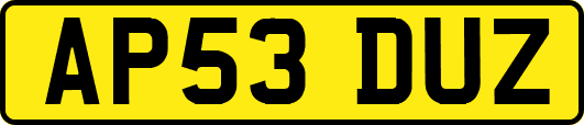 AP53DUZ