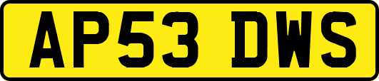 AP53DWS