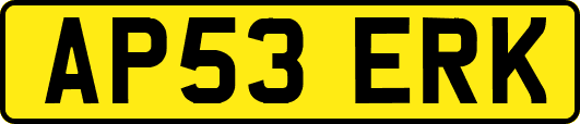 AP53ERK