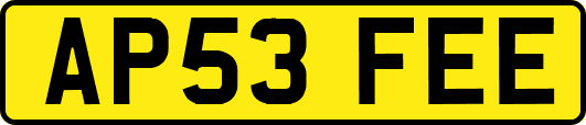 AP53FEE