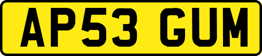 AP53GUM