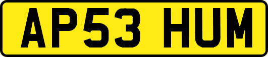 AP53HUM
