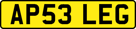 AP53LEG