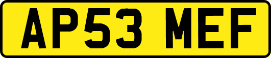 AP53MEF