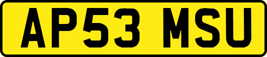 AP53MSU
