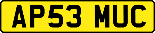 AP53MUC