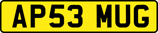 AP53MUG