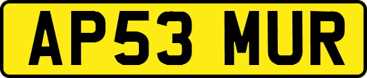 AP53MUR